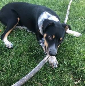 Meet your Posher, Jen